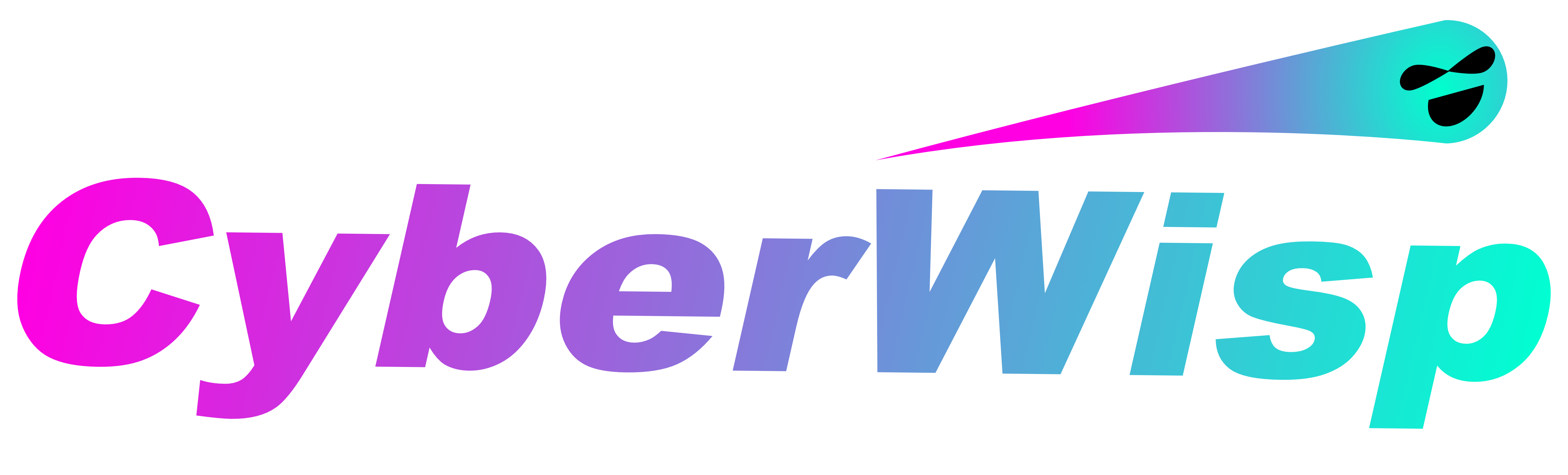 CyberWisp LLC